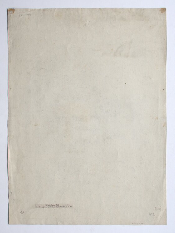 Johann Georg Rosenberg - Eine Eiche, gezeichnet in Ricksdorf - 1797 - Bleistift, schwarze und weiße Kreide