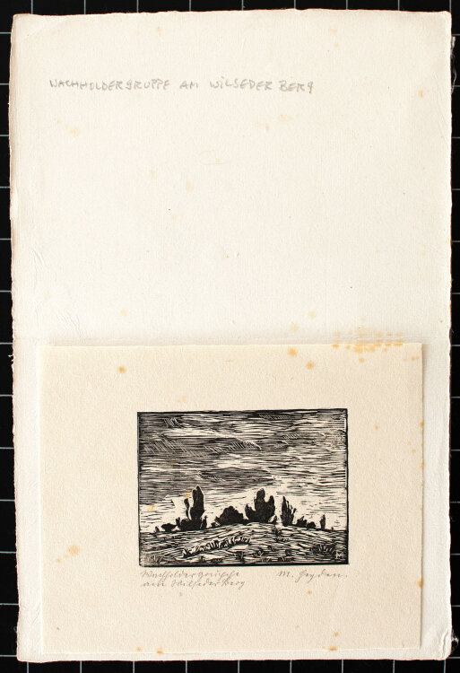M. Heyden - Wacholdergruppe am Wilseder Berg - 1920er Jahre - Holzschnitt