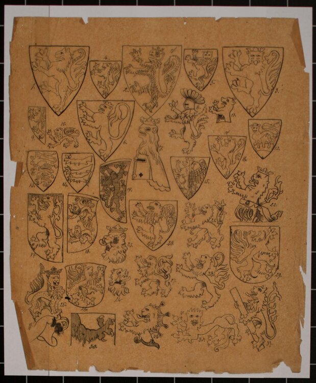 Unbekannt - Wappen mit Löwen - Zeichnung - o. J.