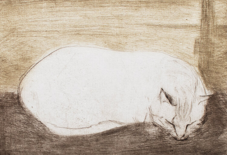 Manfred Hahn - Schlafende Katze I - 1984 - Farbradierung