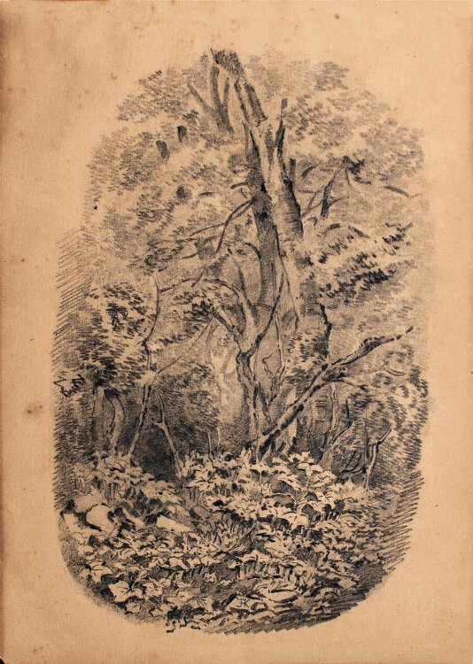Unbekannter Monogrammist - Waldlandschaft - Bleistiftzeichnung - o. J.