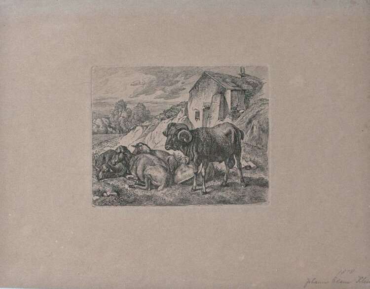Johann Adam Klein - Schafherde - 1818 - Radierung