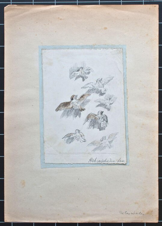 Sebastian Habenschaden - Sperlinge - o.J. - Bleistift
