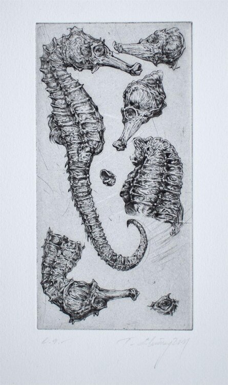 Thomas Löhning - Seepferd - Radierung - 2011 - e.a.
