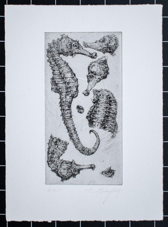 Thomas Löhning - Seepferd - Radierung - 2011 - e.a.