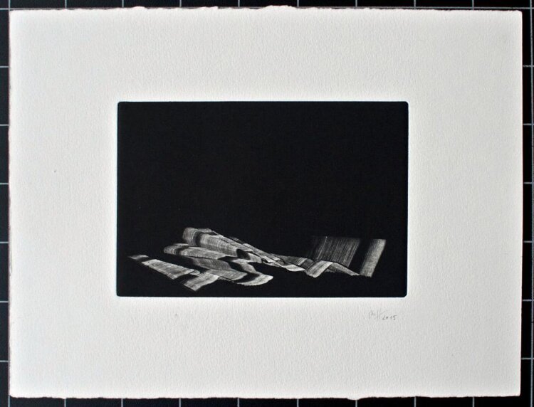Madeleine Heublein - ohne Titel - 2015 - Monotypie
