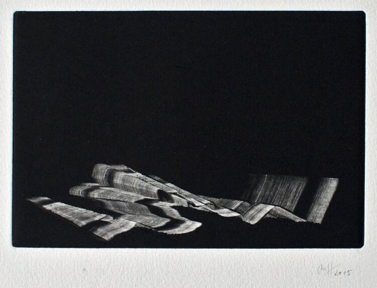 Madeleine Heublein - ohne Titel - 2015 - Monotypie