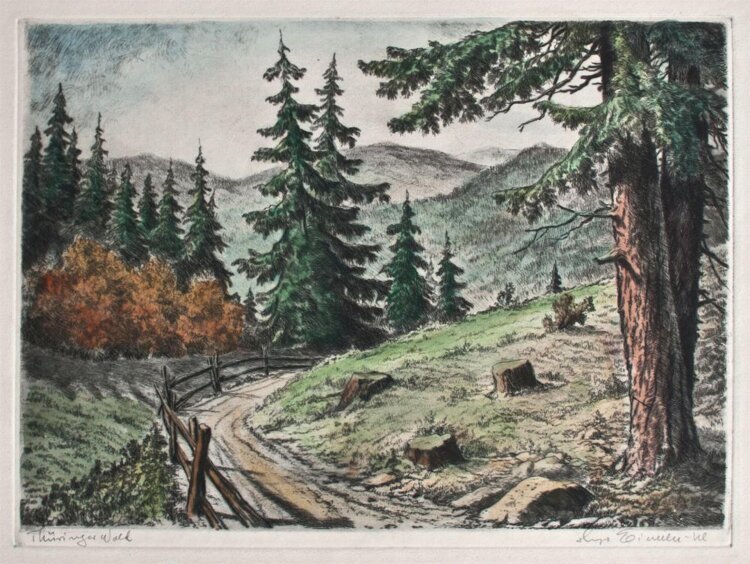 Hugo Eichler - Thüringer Wald - o.J. - kolorierte Radierung