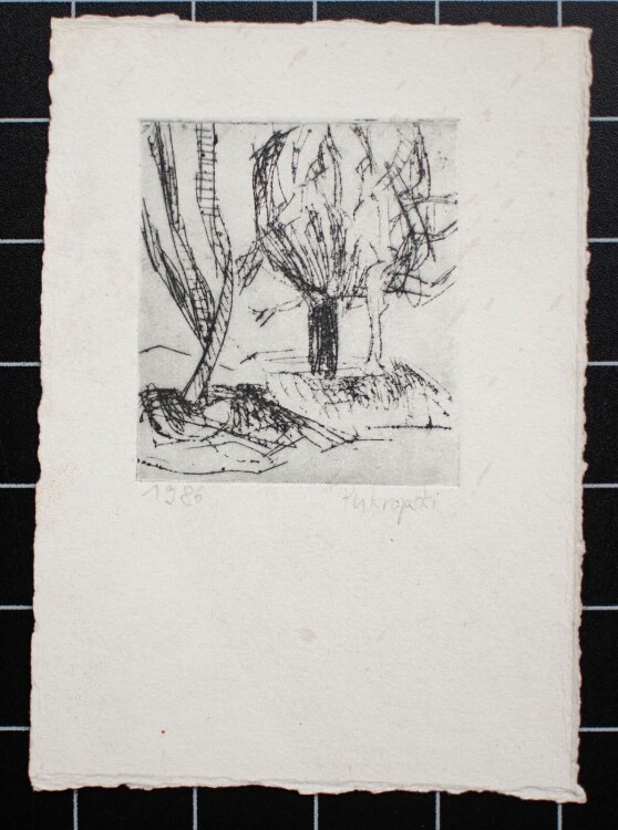 Daniela Pukropski - Bäume - 1986 - Radierung