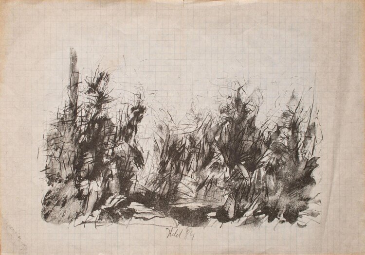 Rainer Herold - Wiese - Bleistiftzeichnung - 1984