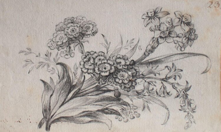 unbekannt - Blumenstillleben - o.J. - Bleistift