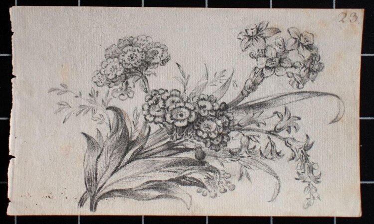 unbekannt - Blumenstillleben - o.J. - Bleistift