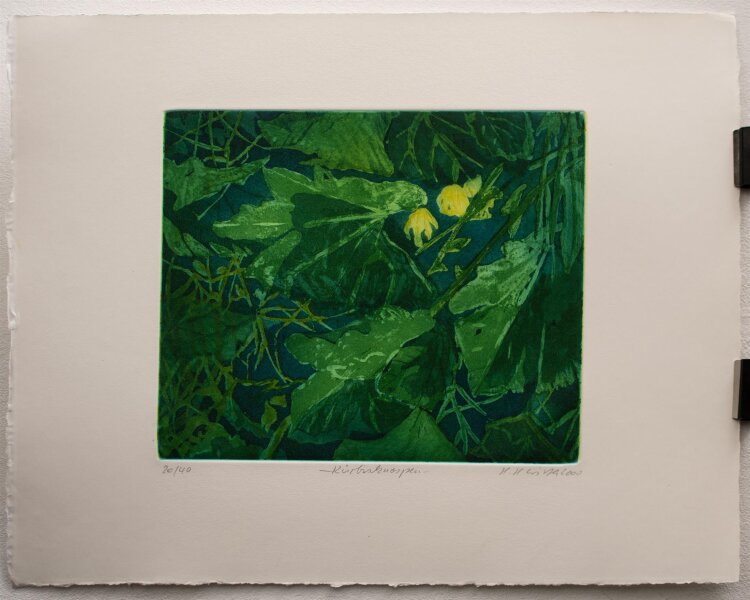 Helga Wirth - Kürbisknospen - Farbradierung - 2000 - 20/40