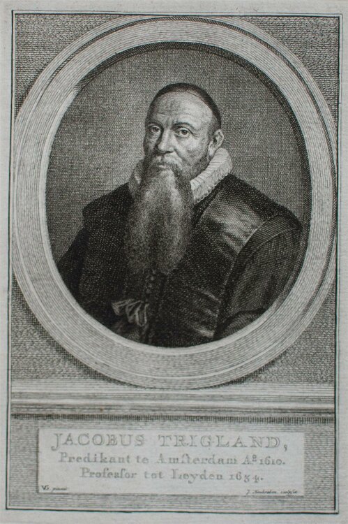 Jacobus Houbraken - Porträt Jacobus Trigland - Kupferstich - um 1750